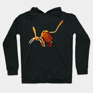 Tiny ant under the microscope Hoodie